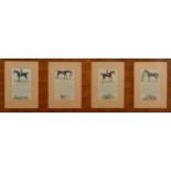 Four horse framed bookplates, all glazed and mounted in mahogany veneered frames, each one 36.5cm