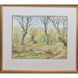 Leslie B Stew (British 20th century), a forest scene, watercolour on paper, signed bottom right,