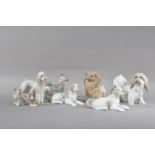 A collection of Lladro porcelain dog figurines, of a variety of breeds, one a bisque example, the