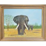 Roger Mitton (British), a modern painting of Elephants in natural surroundings, oil on canvas,