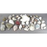 A large collection of World Shells and coral, of varying sizes and shapes, the largest shell 22cm in