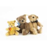 Three small Steiff yellow tag Teddy Bears,