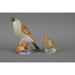 Two Royal Worcester ceramic bird figurines,