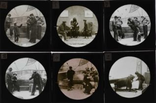 3¼in sq Magic Lantern Slides,