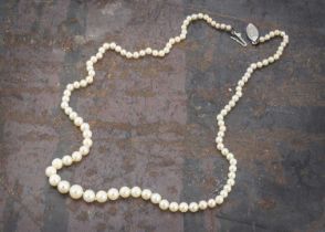 A string of graduated and knotted cultured pearls,