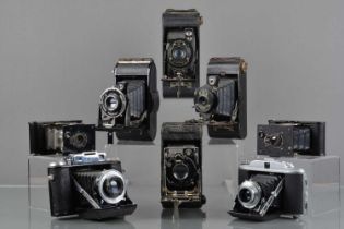 A Tray of Folding Cameras,