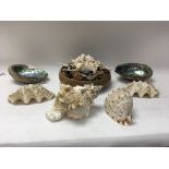 A collection of polished stones and sea shells