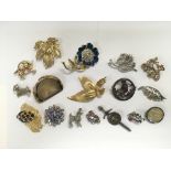 A collection of brooches.NO RESERVE