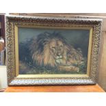 An oil painting study of a lion and lioness. 97wid