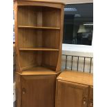 A Ercol corner cabinet fitted with two selfs and s