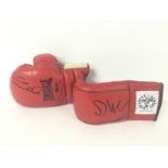Boxing gloves signed by Dillian Whyte and Colin Mc