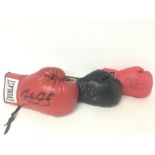 Signed gloves by Carlos Ortiz, Luke Campbell and o