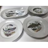 6 plates + 1 serving decorative fish plates