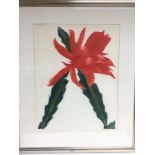 A framed and glazed limited edition print titled 'Cactus Flower' by Ruth O'Donnell, numbered and