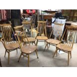 Six Ercol chairs including two Carvers