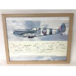 A special multi signed RAF Second World War comparative print of a Mk434 Spitfire with over 40