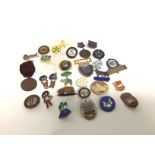 A collection of vintage pins including golly pins,