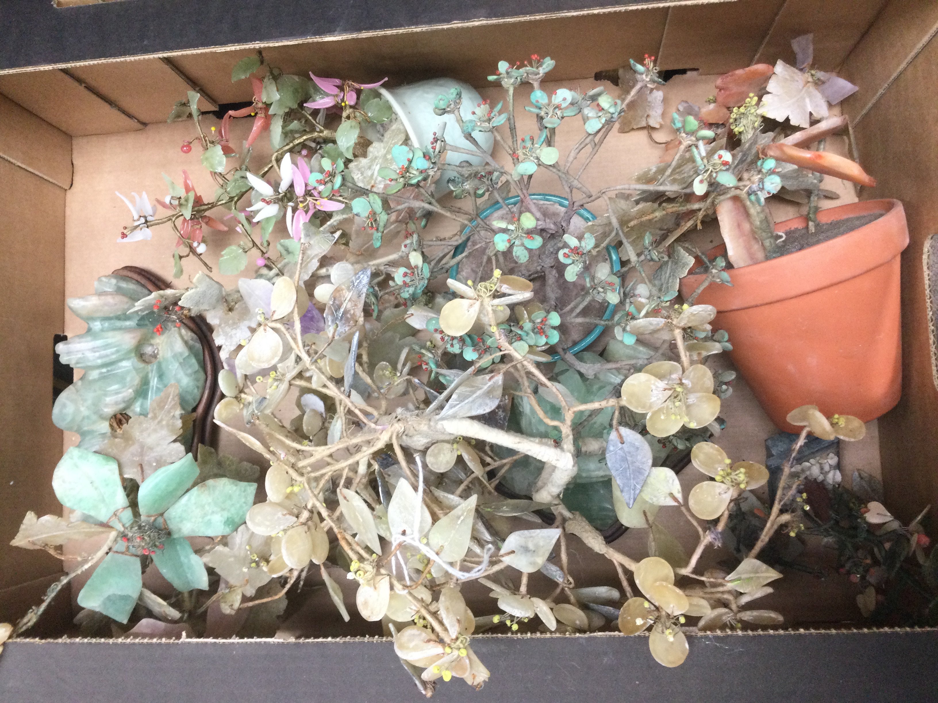 A box of gemstone ornamental plants. Shipping cate