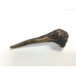 An unual root carving, approx length 11cm. Shippin