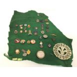 A collection of vintage British badges including B