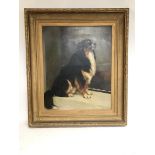 Oil on canvas painting of a Collie in a large gilt