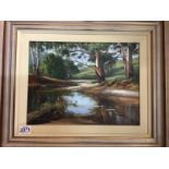 A framed oil on board depicting Eucalyptus trees b