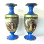 A pair of large 19thC hand painted Sevres style po