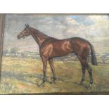 A framed oil painting on canvas study of a horse W