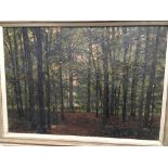 A framed oil on canvas, evening in the woods by Jo