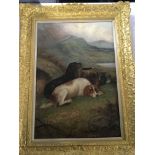 A framed oil painting on board study of two dogs w