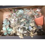 A box of gemstone ornamental plants. Shipping cate