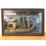 Cased carved horn sailing ship, case dimensions ap