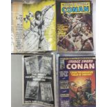 A Collection of vintage comics to include The sava