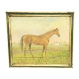 An oil on canvas depicting a horse , frame size 70