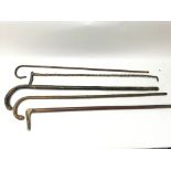 A collection of 5 walking sticks. NO RESERVE