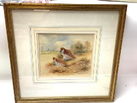 A Watercolour painting of French Partridges by Jam