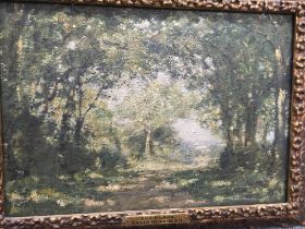 A David Thomas Murhead, The Glade oil on canvas 50