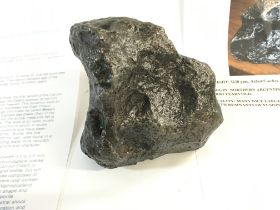 A Campo del Cielo meteorite weighing 5230 grams. Comes with certificate of authenticity.