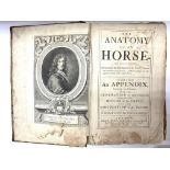 The Anatomy of an Horse. Containing an exact and f