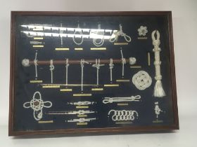 A frame containing marine Knott samples and two fr