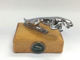 A Jaguar car mascot raised on a wooden base, approx height 8cm. Shipping category B.