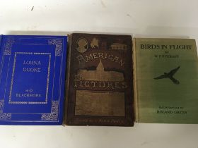 Three books a 19th Century American Pictures an interesting insight to American life 1876 with