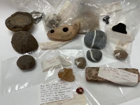 A collection of stones and fossils. (D).