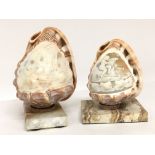 Conch shell cameo ornaments on marble bases decora