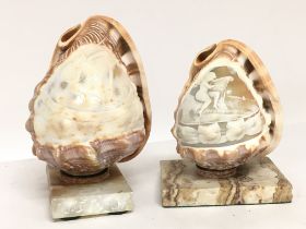 Conch shell cameo ornaments on marble bases decora