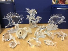 A collection of boxed Swarovski fish including sho