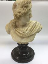 An alabaster bust of a Neo Classical male figure raised on a stepped circular base, a/f. Approx