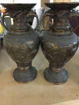 A pair Japanese bronze vases decorated with raised