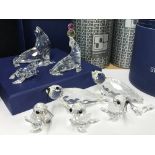 Eight Swarovski sea animals comprising of seals and sea lions. One has two flippers loose from body.