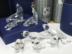 Eight Swarovski sea animals comprising of seals and sea lions. One has two flippers loose from body.